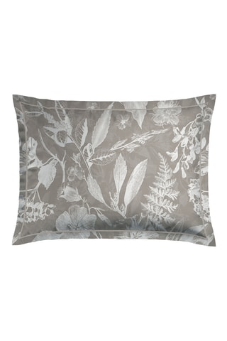 2 fundas de almohada de satén de algodón 79 hilos/cm² - Topo