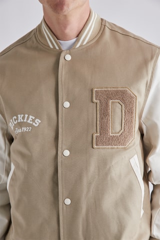 Veste Oak Grove - Beige - Dickies