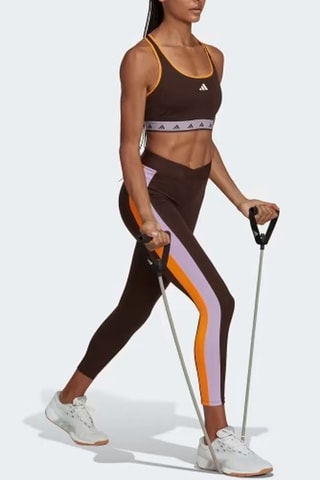 Brassière d'entraînement Techfit - Marron