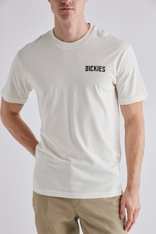 T-shirt Lake Oswego Moon Snake - Ecru - Dickies