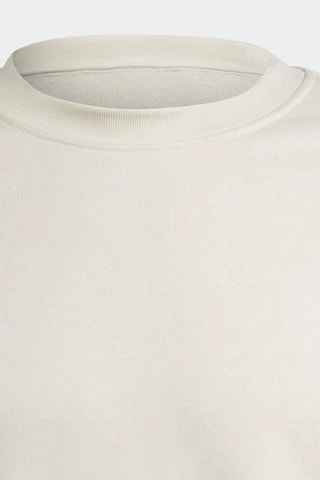 Sweater Premium - Beige - Adidas