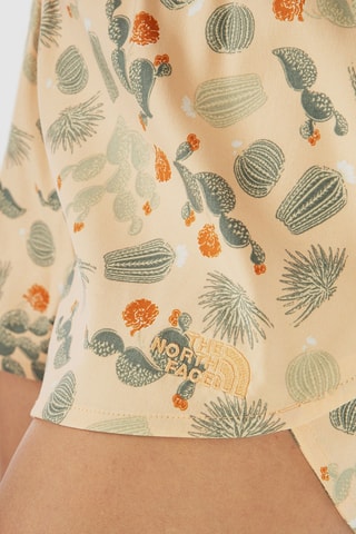 Short Class V - Rose