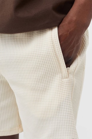 Short Tonal Textures - Ecru - Adidas