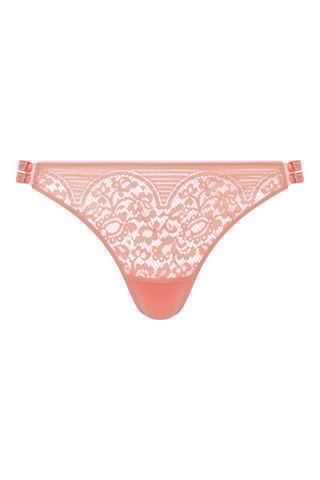 String Singular - Rose - Chantelle X