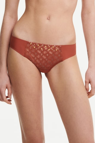 Culotte - Marron - Chantelle X