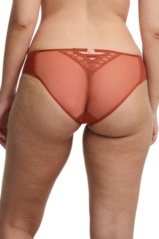 Culotte - Marron - Chantelle X