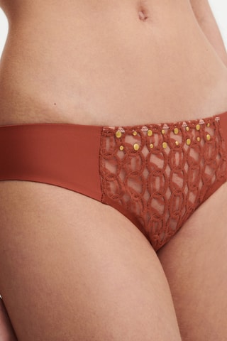 Culotte - Marron - Chantelle X