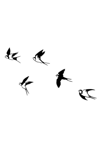 Wanddecoratie 5 oiseaux - 27 x 26 cm - 29 x 26,5 cm - 31 x 19 cm - 24 x 32 cm - 29 x 31,5 cm - Zwart