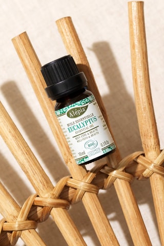 Aceite esencial de eucalipto ecológico  -  10 ml