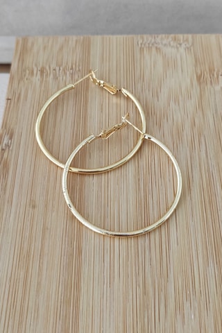 Creolen - Goudkleurig