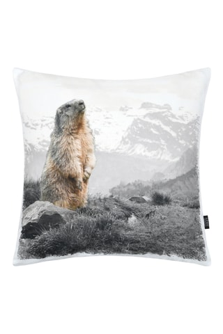 Coussin - Blanc et gris - 50 x 50 cm