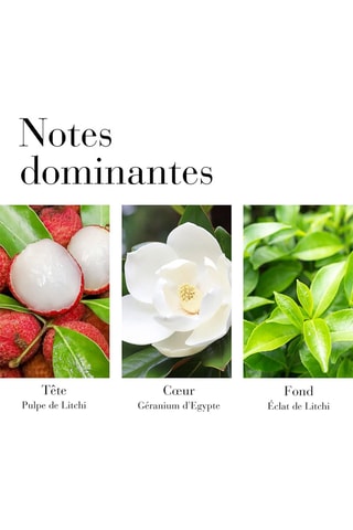 Green Tea Lychee Lime Elizabeth Arden - Eau de toilette 100 ml