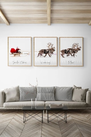 3 cuadros - 33 x 48 cm