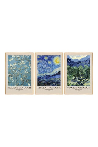 3 cuadros Vincent Van Gogh - 50 x 35 cm