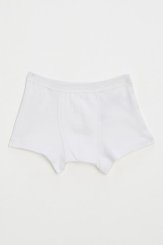 Boxer - Blanc