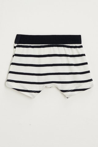 Boxer - Blanc et noir