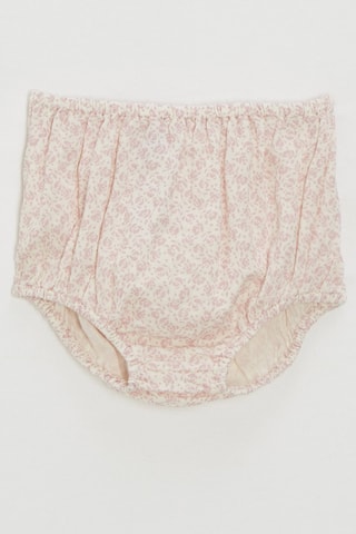 Bloomer - Rose poudré