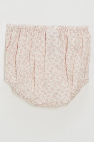 Bloomer - Rose poudré