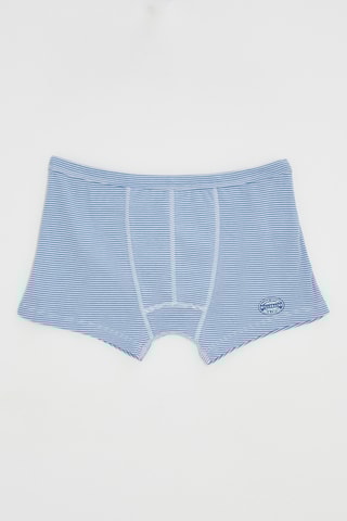 Boxer - Bleu clair