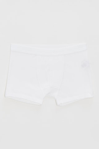 Boxer - Blanc