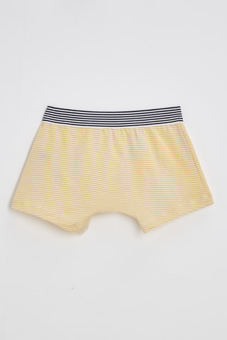 Boxer - Blanc et moutarde