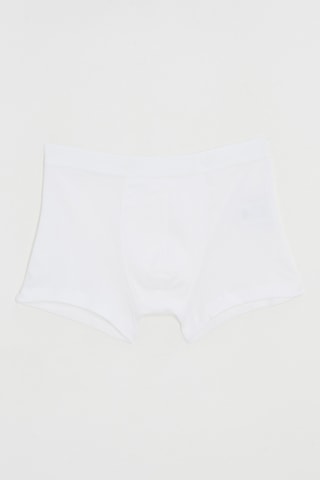 Boxer - Blanc