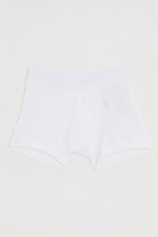 Boxer - Blanc
