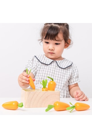 Gioco pianta la carota in legno - Da 3 anni