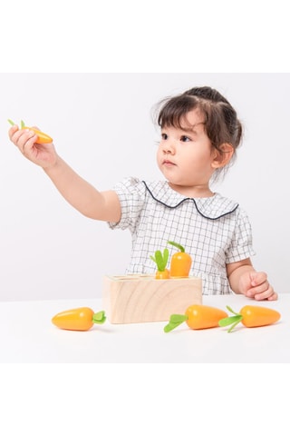 Gioco pianta la carota in legno - Da 3 anni