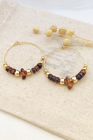 Criollas - Ojos de tigre