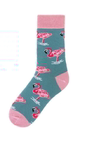 Chaussettes  - Blanc, noir, vert et rose