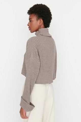 Camisola curta Castanho