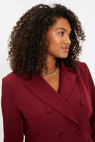 Blazer regular - Bordô