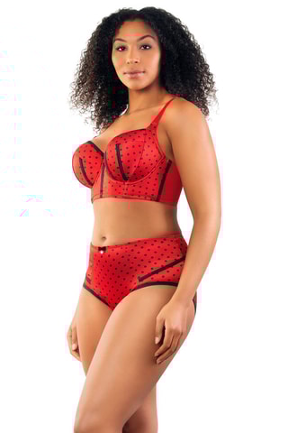 Culotte taille haute Charlotte - Rouge