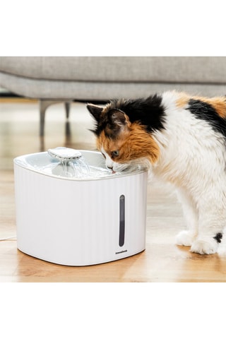 Fuente de agua - 
3 l