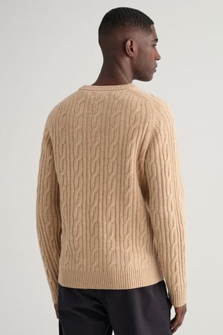 Wollen Trui Regular - Beige