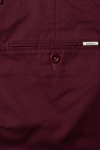 Chino regular fit - Bordeauxrood