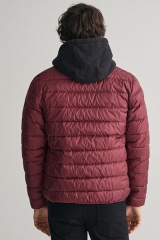 Gewatteerde Jas regular - Bordeauxrood