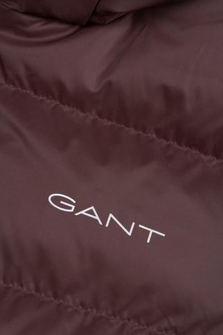 Gewatteerde Jas Regular Fit met Capuchon - Bordeauxrood