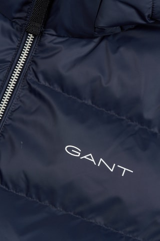 Gewatteerde Jas Regular Fit met Capuchon - Marineblauw