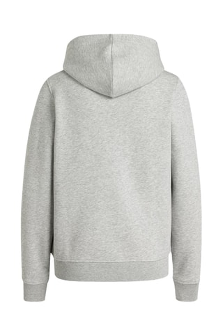 Sweater regular met capuchon - Grijs