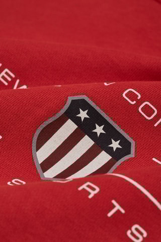 Sweater regular met capuchon - Rood