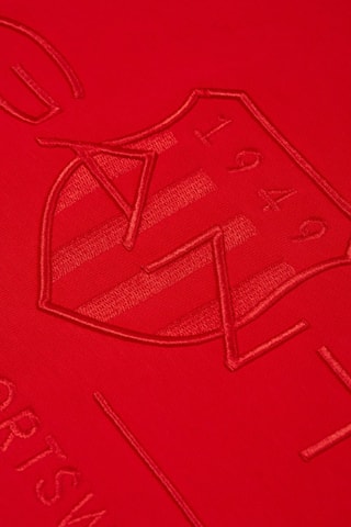 Sweater regular met capuchon - Rood