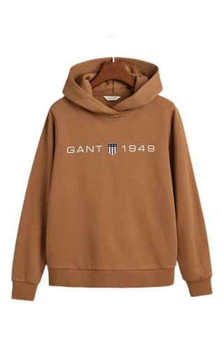 Sweater regular met capuchon - Bruin