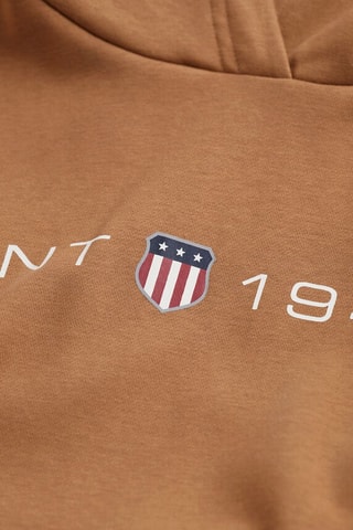 Sweater regular met capuchon - Bruin