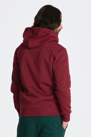 Sweater regular met capuchon - Bordeauxrood