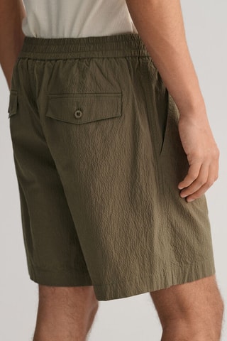 Short Regular - Kakigroen