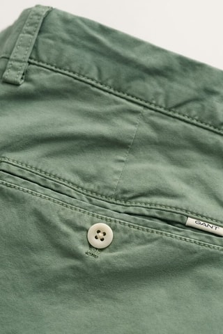 Short Regular - Saliegroen