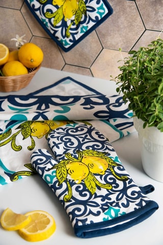 Manopla, agarrador y paño - Azul y blanco