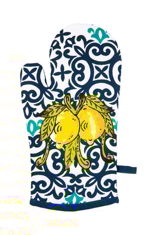 Manopla, agarrador y paño - Azul y blanco